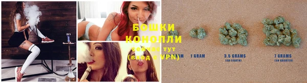 герыч Кедровый