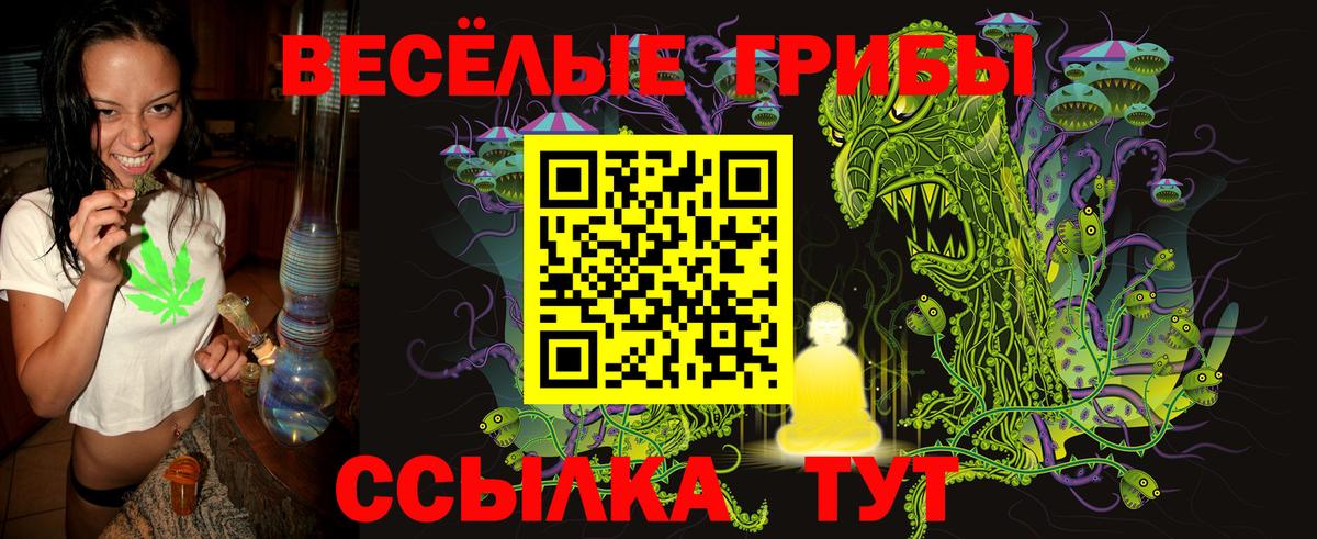 Галлюциногенные грибы прущие грибы  Белово  Псилоцибиновые грибы Cubensis 