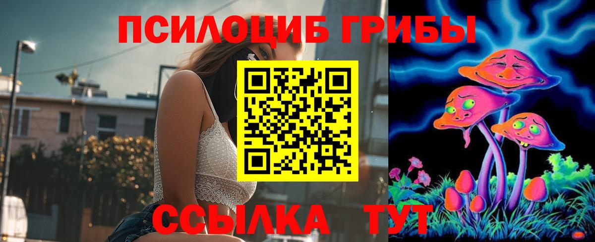 Белово  Псилоцибиновые грибы Psilocybe  Вход с VPN  Псилоцибиновые грибы мухоморы 
