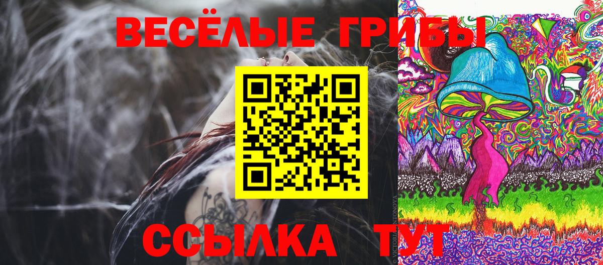 Псилоцибиновые грибы GOLDEN TEACHER Белово